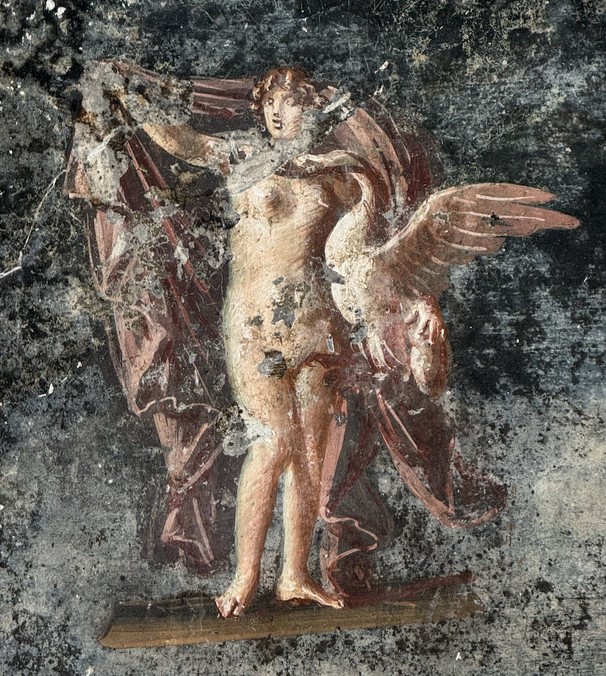 Leda e il cigno, affresco in Pompei ITA