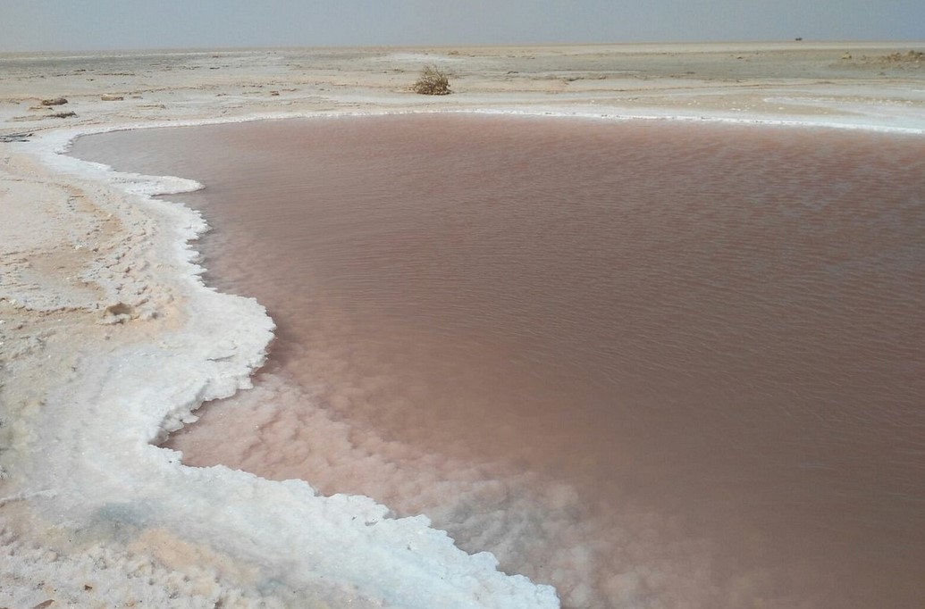 Salina di Chott el Jerid - Tunisia